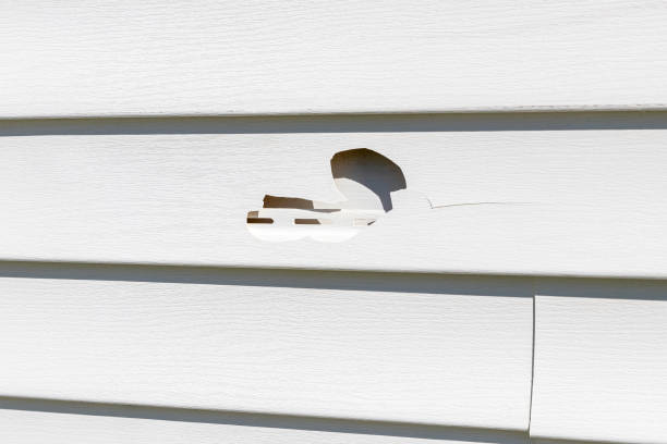Best Foreclosure Cleanout  in Cedar Falls, IA
